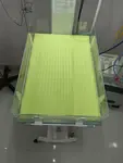 ParrotGreen
